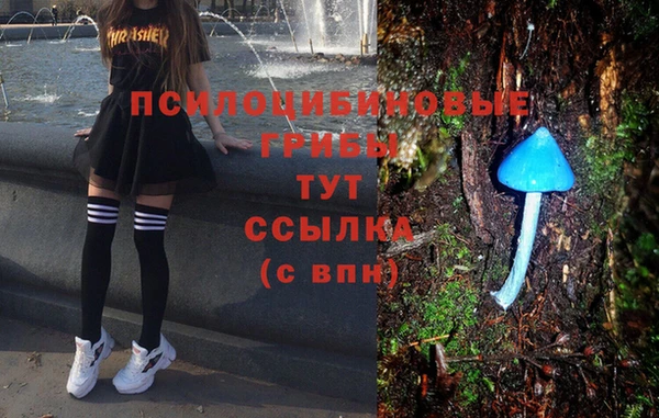 крисы Алексеевка