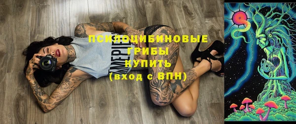 крисы Алексеевка