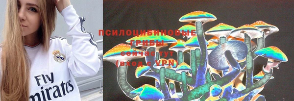 крисы Алексеевка