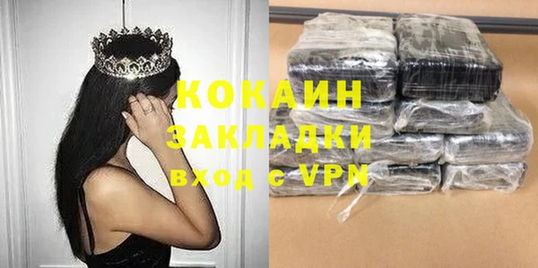 шишки Никольское