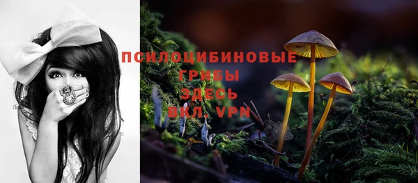mdpv Покачи